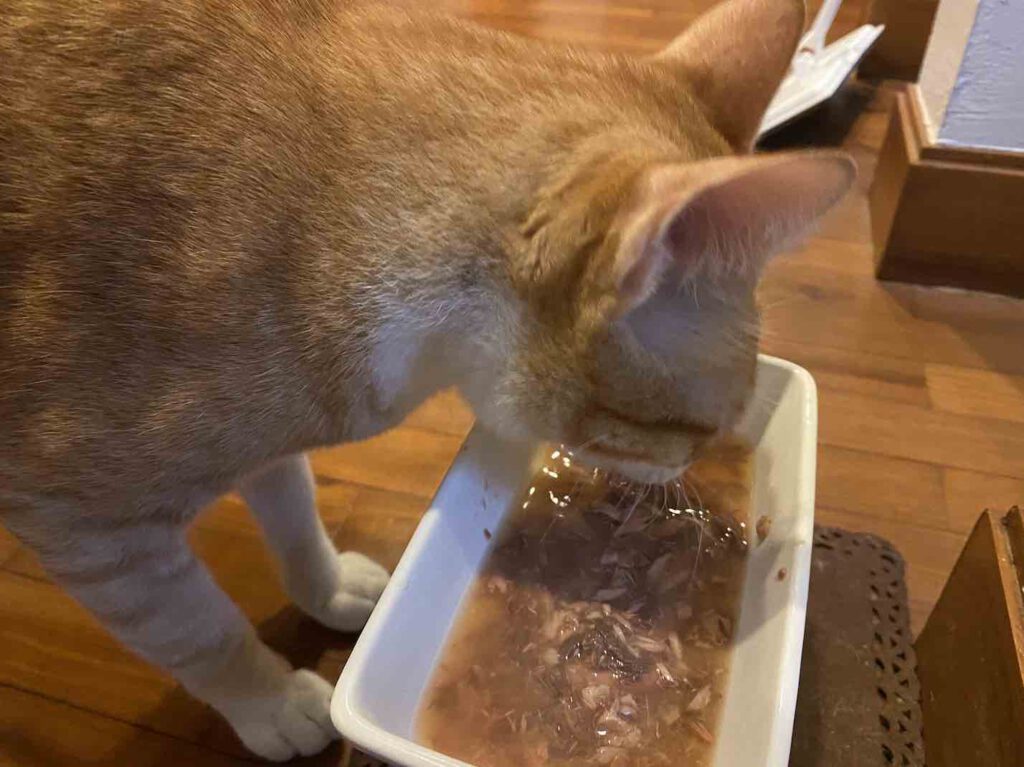 อาหารเปียกแมว ยี่ห้อ NEKKO สูตรปลาทูน่าหน้าปลาทรายแดงในน้ำเกรวี่