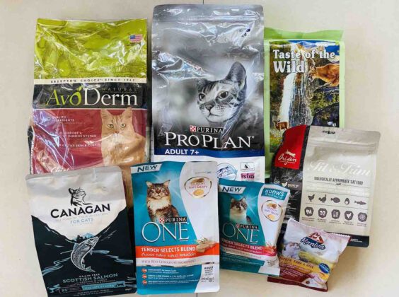 + "อาหารเม็ดแมว" ยี่ห้อไหนดี 2021 รวมมาแล้ว รีวิว 9 ยี่ห้อ + - PlusAround